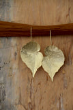 18k Gold Plated big leaf drop earrings